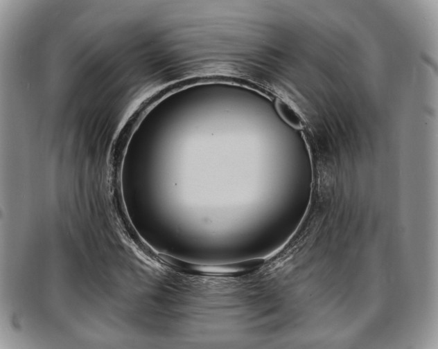 X0000097671116200802291454