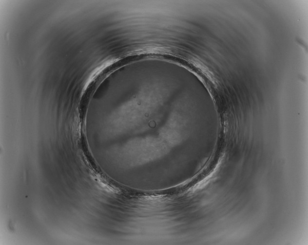 X0000097671117200802291454