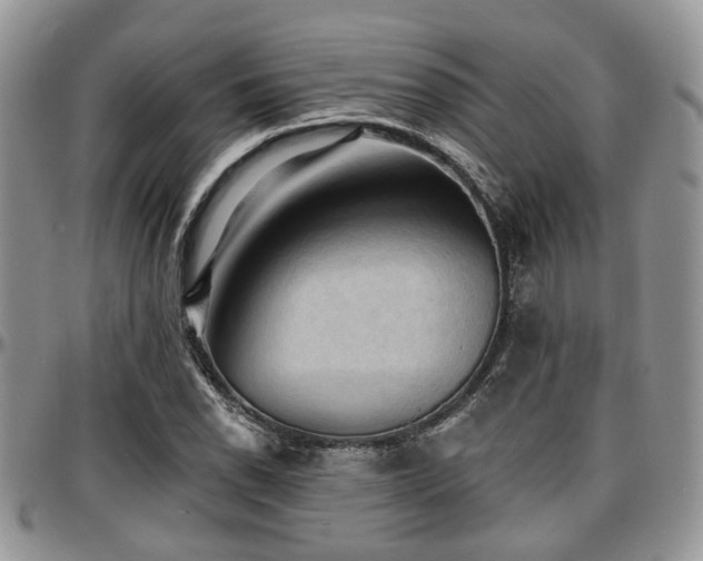 X0000097671118200802291454