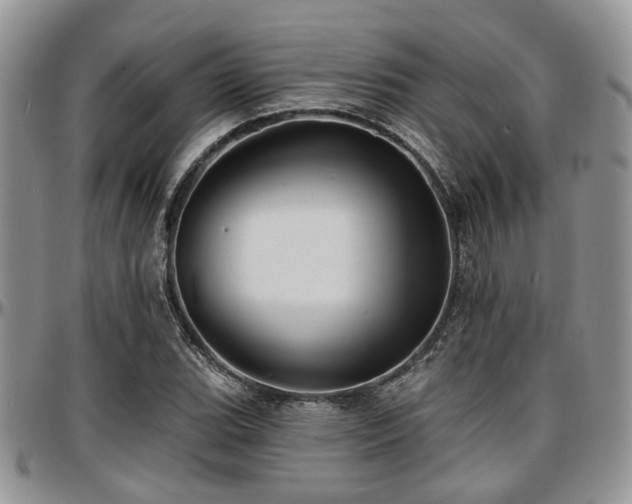 X0000097671119200802291454