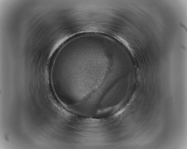 X0000097671120200802291454