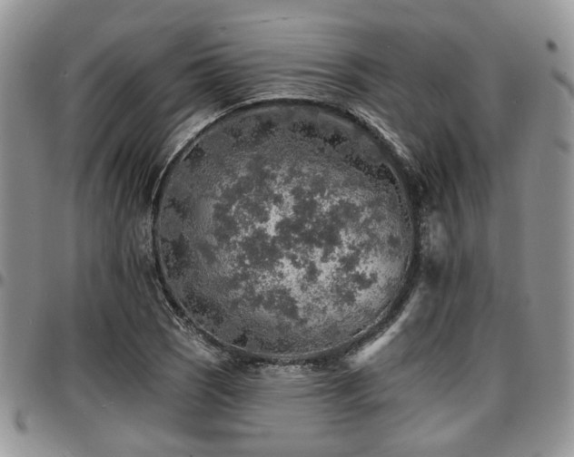 X0000097671121200802291454