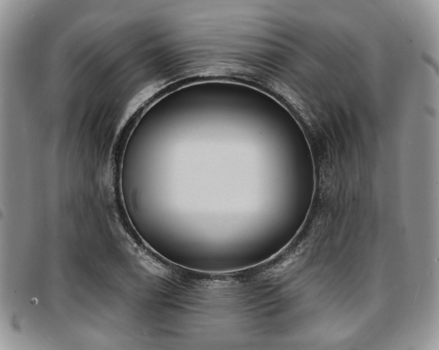 X0000097671122200802291454