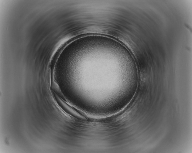 X0000097671123200802291454