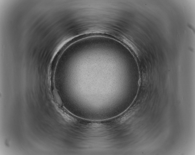 X0000097671124200802291454