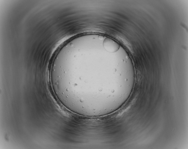 X0000097671125200802291454