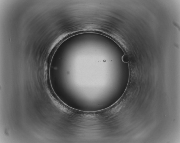 X0000097671126200802291454