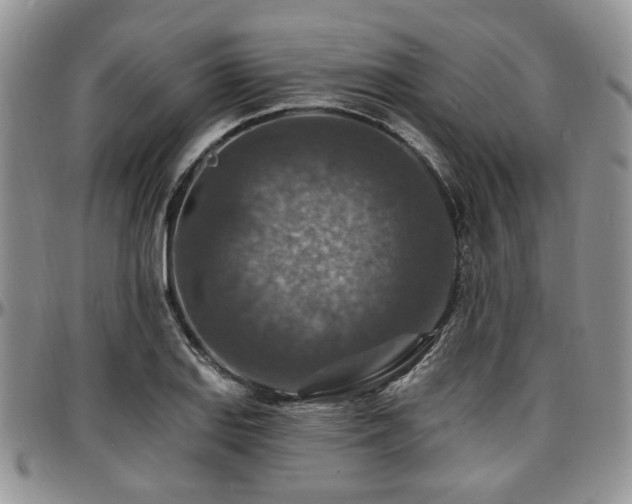 X0000097671127200802291454