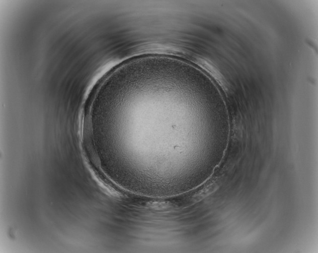 X0000097671128200802291454