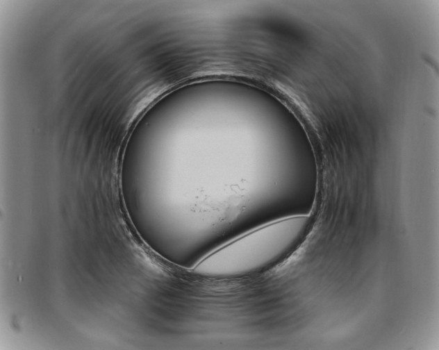 X0000097671129200802291454