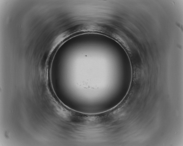 X0000097671130200802291454