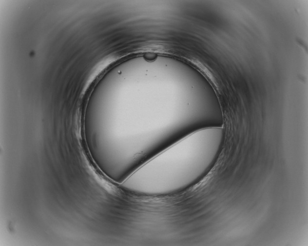 X0000097671131200802291454