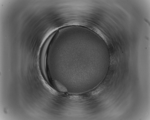 X0000097671132200802291454