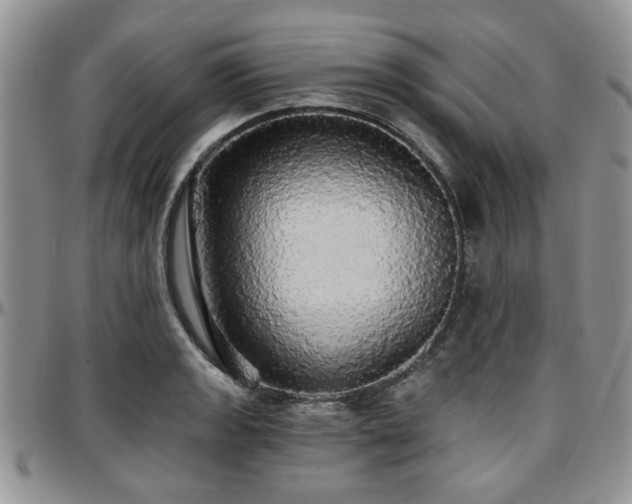 X0000097671133200802291454