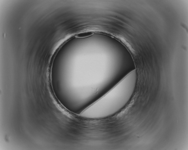 X0000097671134200802291454