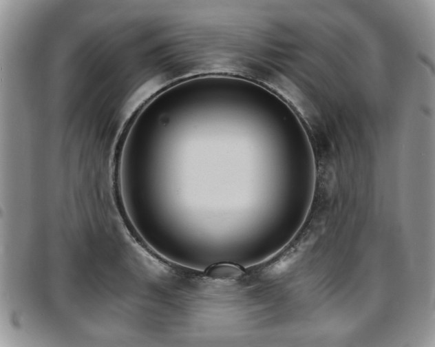 X0000097671135200802291454