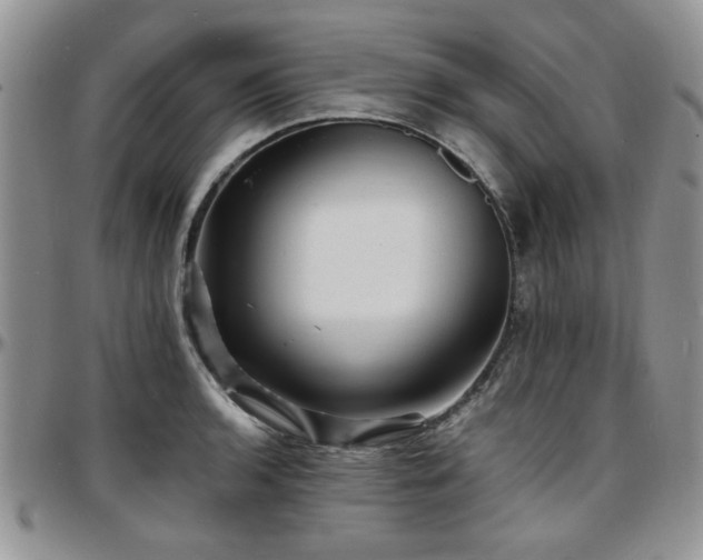 X0000097671136200802291454