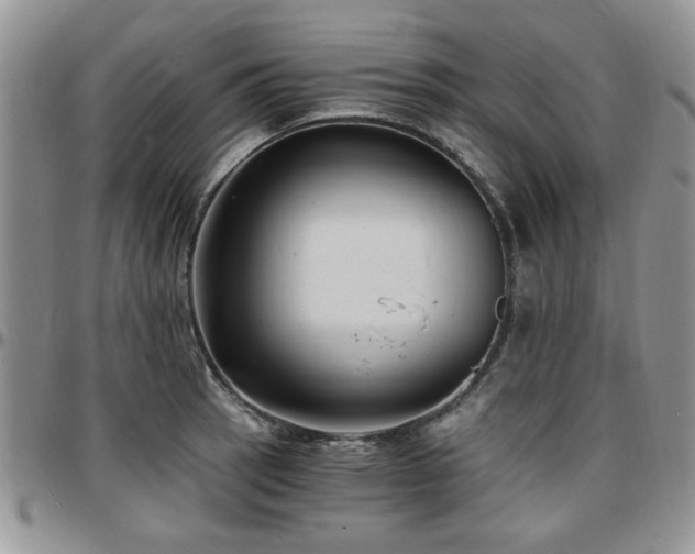 X0000097671137200802291454