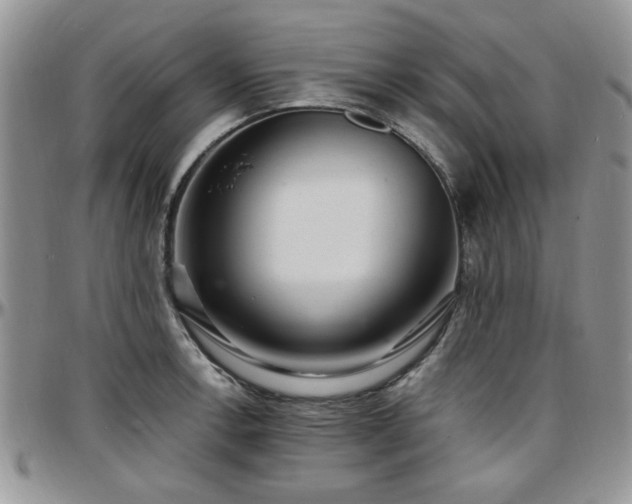 X0000097671138200802291454