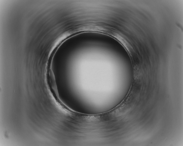 X0000097671139200802291454