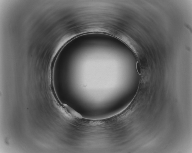 X0000097671140200802291454