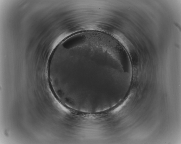 X0000097671141200802291454