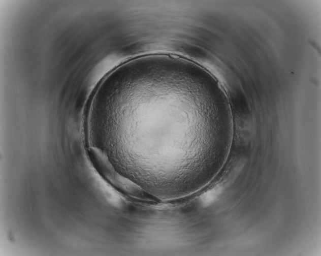 X0000097671142200802291454