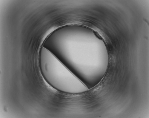 X0000097671143200802291454