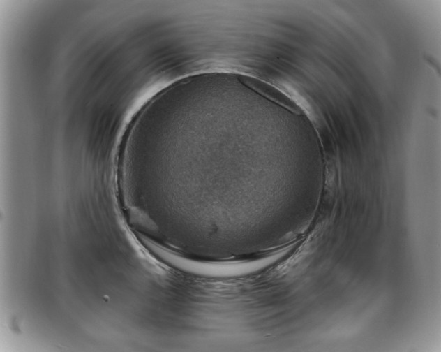 X0000097671144200802291454