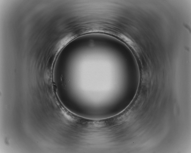 X0000097671145200802291454