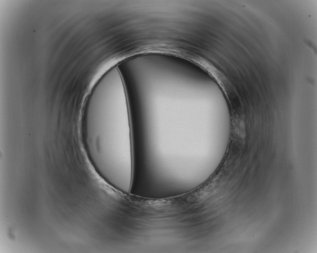 X0000097671147200802291454