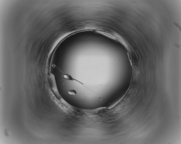 X0000097671148200802291454