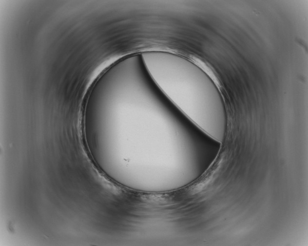 X0000097671149200802291454