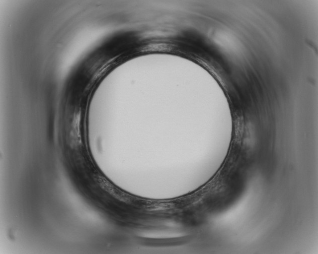 X0000097671150200802291454