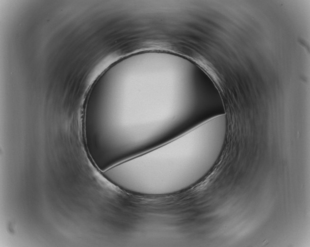 X0000097671151200802291454