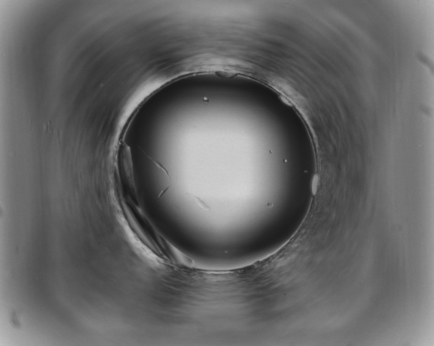 X0000097671152200802291454