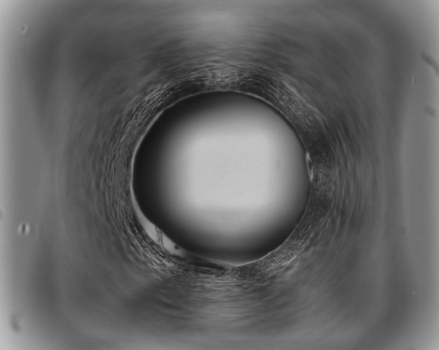 X0000097671153200802291453