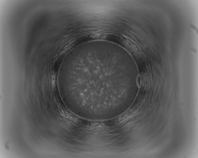 X0000097671154200802291453