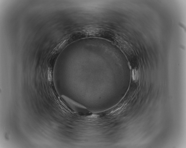 X0000097671155200802291453