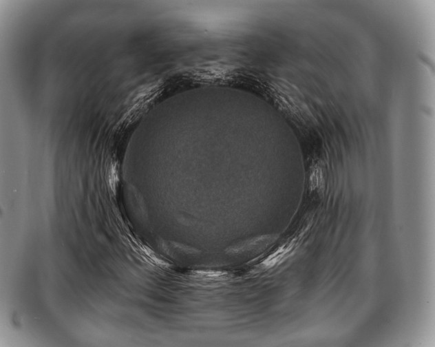 X0000097671156200802291453
