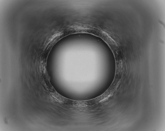 X0000097671157200802291453