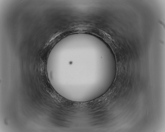 X0000097671158200802291453
