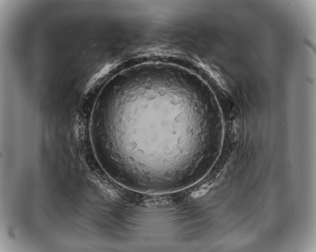 X0000097671159200802291453