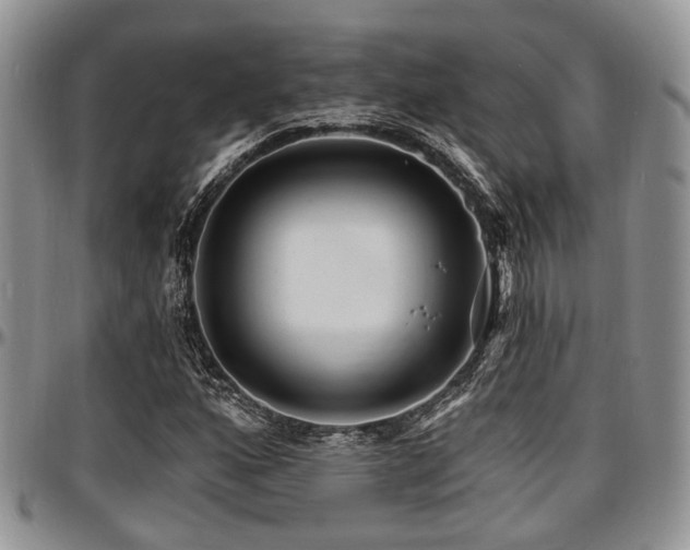 X0000097671160200802291453
