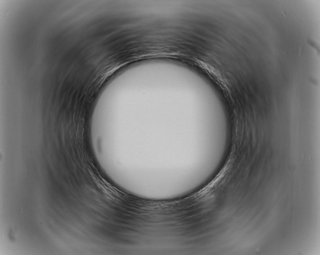X0000097671161200802291453