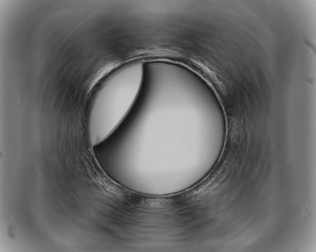 X0000097671163200802291453