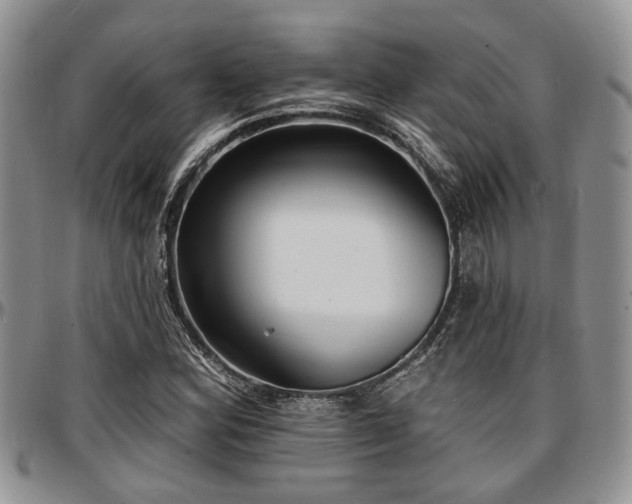 X0000097671164200802291453