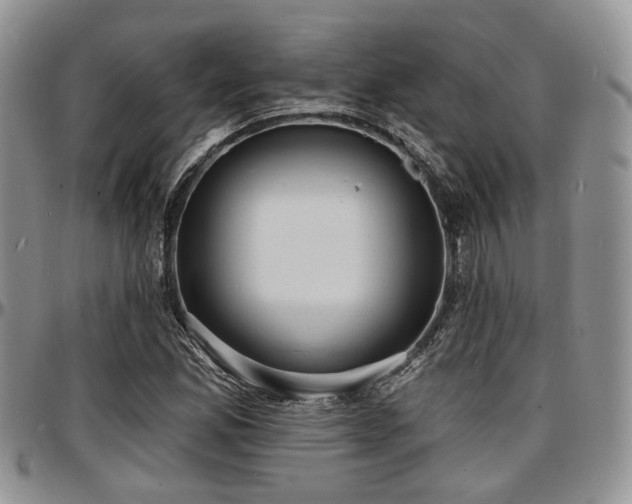 X0000097671165200802291453