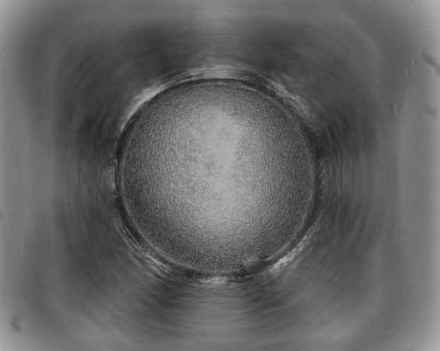 X0000097671166200802291453