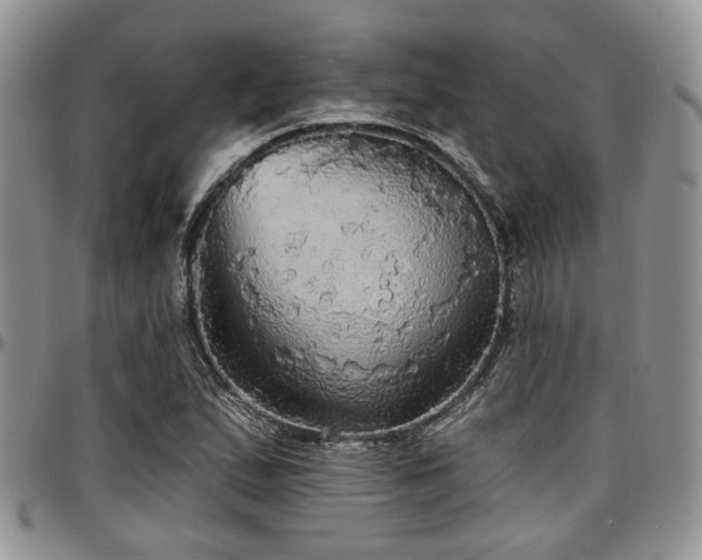X0000097671167200802291453